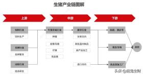 生猪养殖产业链全面解析