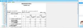 打印申报信息